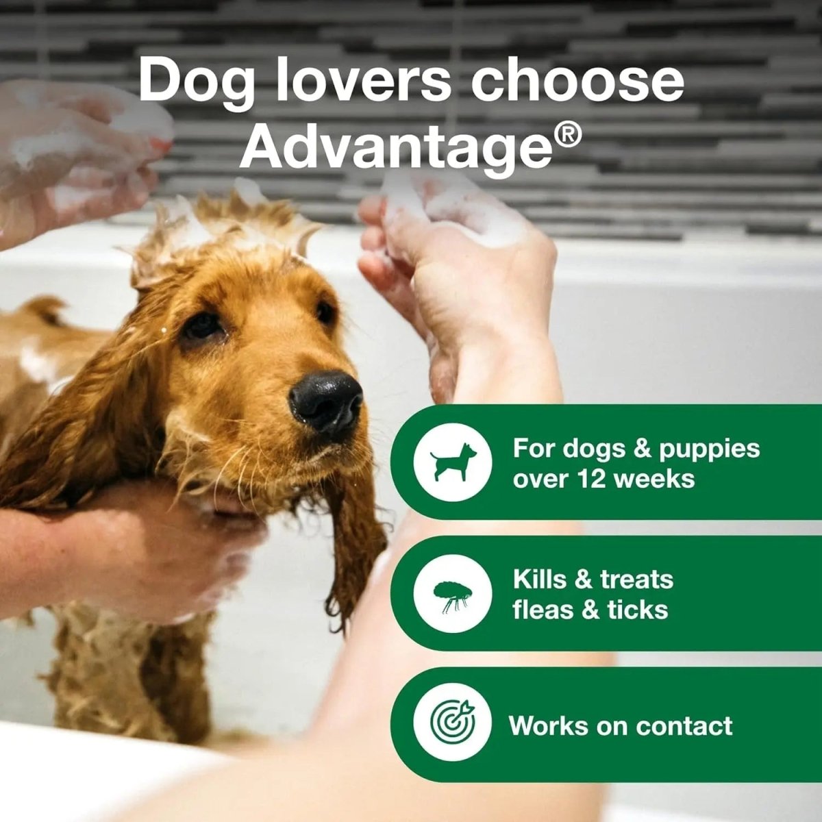 12 Oz Flea & Tick Shampoo for Puppies & Adult Dogs . - The Snag Bin
