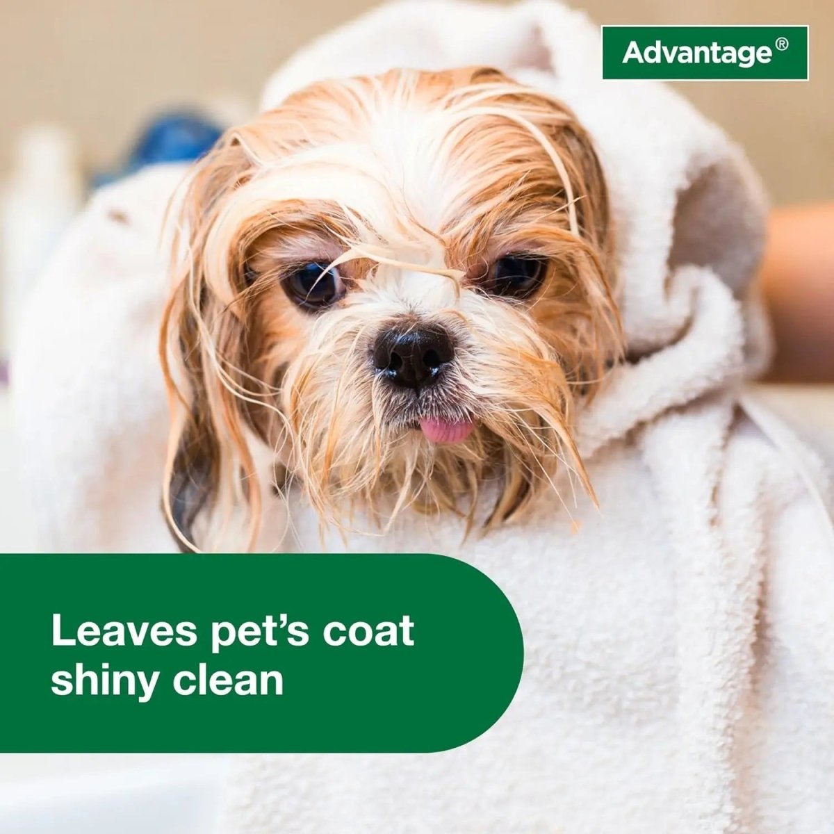 12 Oz Flea & Tick Shampoo for Puppies & Adult Dogs . - The Snag Bin