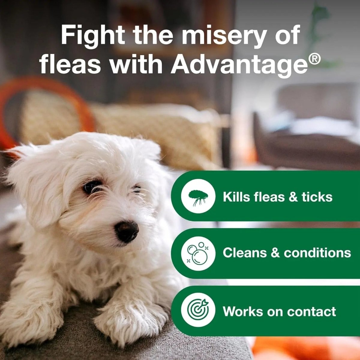 12 Oz Flea & Tick Shampoo for Puppies & Adult Dogs . - The Snag Bin
