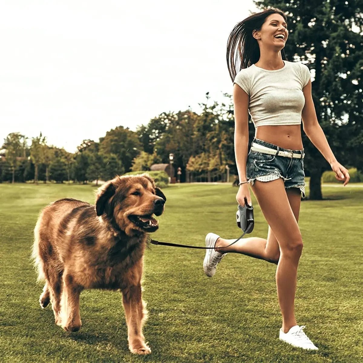 16ft Retractable Dog Leash with Dispenser and Poop Bags - The Snag Bin