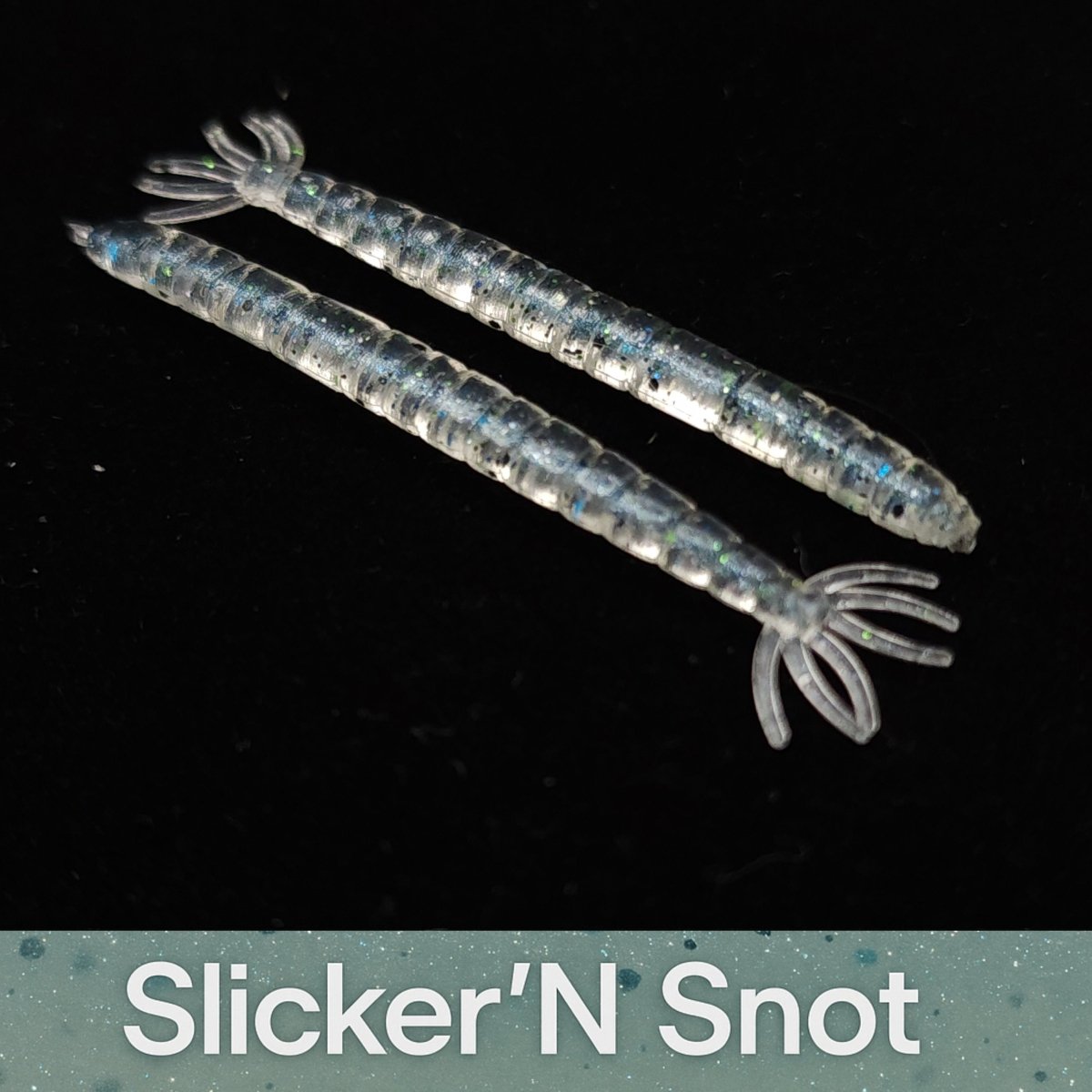 2" Crane Fly Larvae "Don't Touch It!" - The Snag Bin