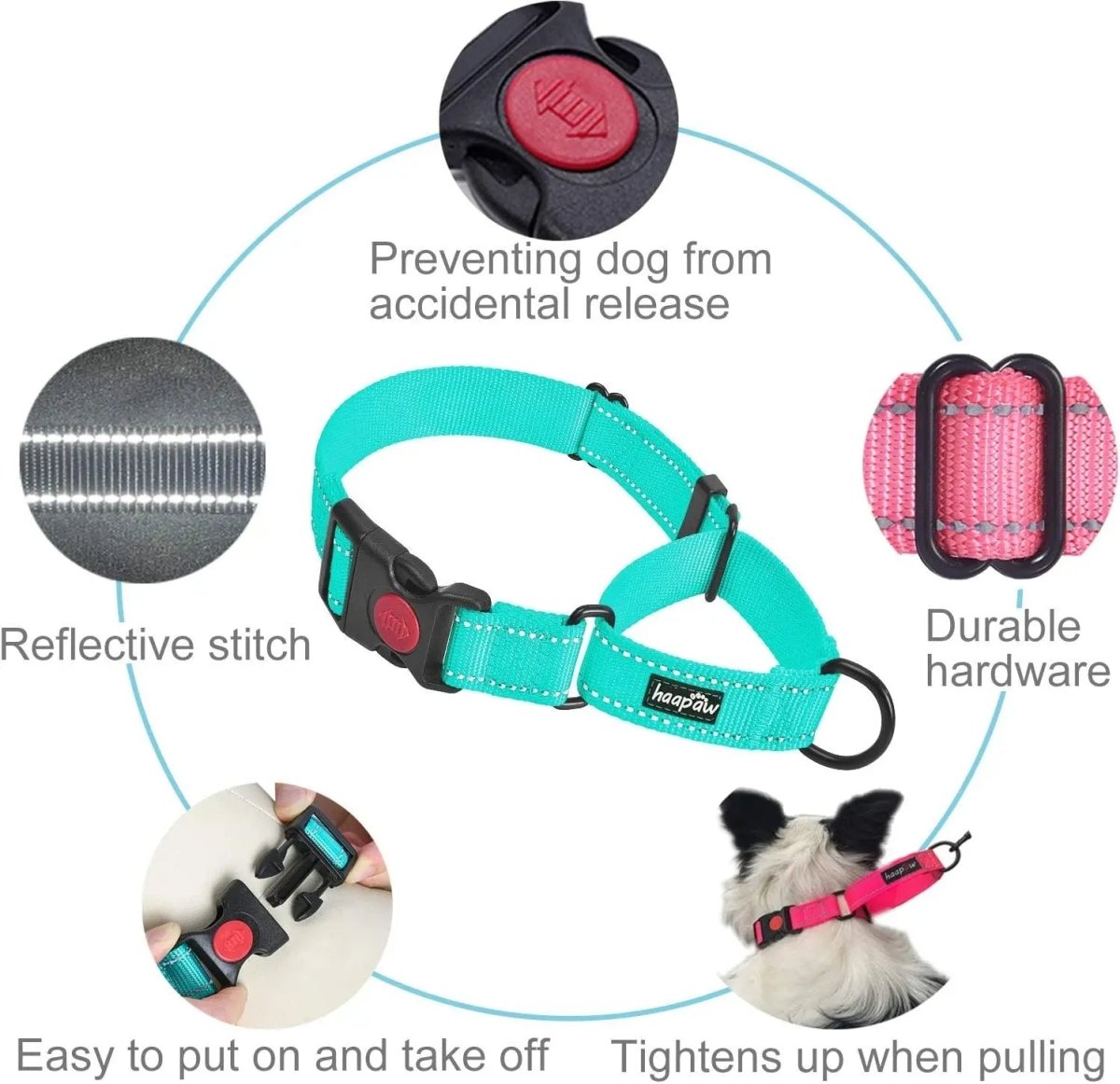 2 Packs Dog Training Collars for Small Medium Large Dogs - The Snag Bin