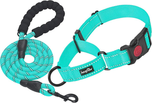 2 Packs Dog Training Collars for Small Medium Large Dogs - The Snag Bin