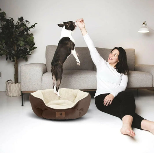 20 - Inch Pet Bed: Perfect for Puppies & Kittens - The Snag Bin