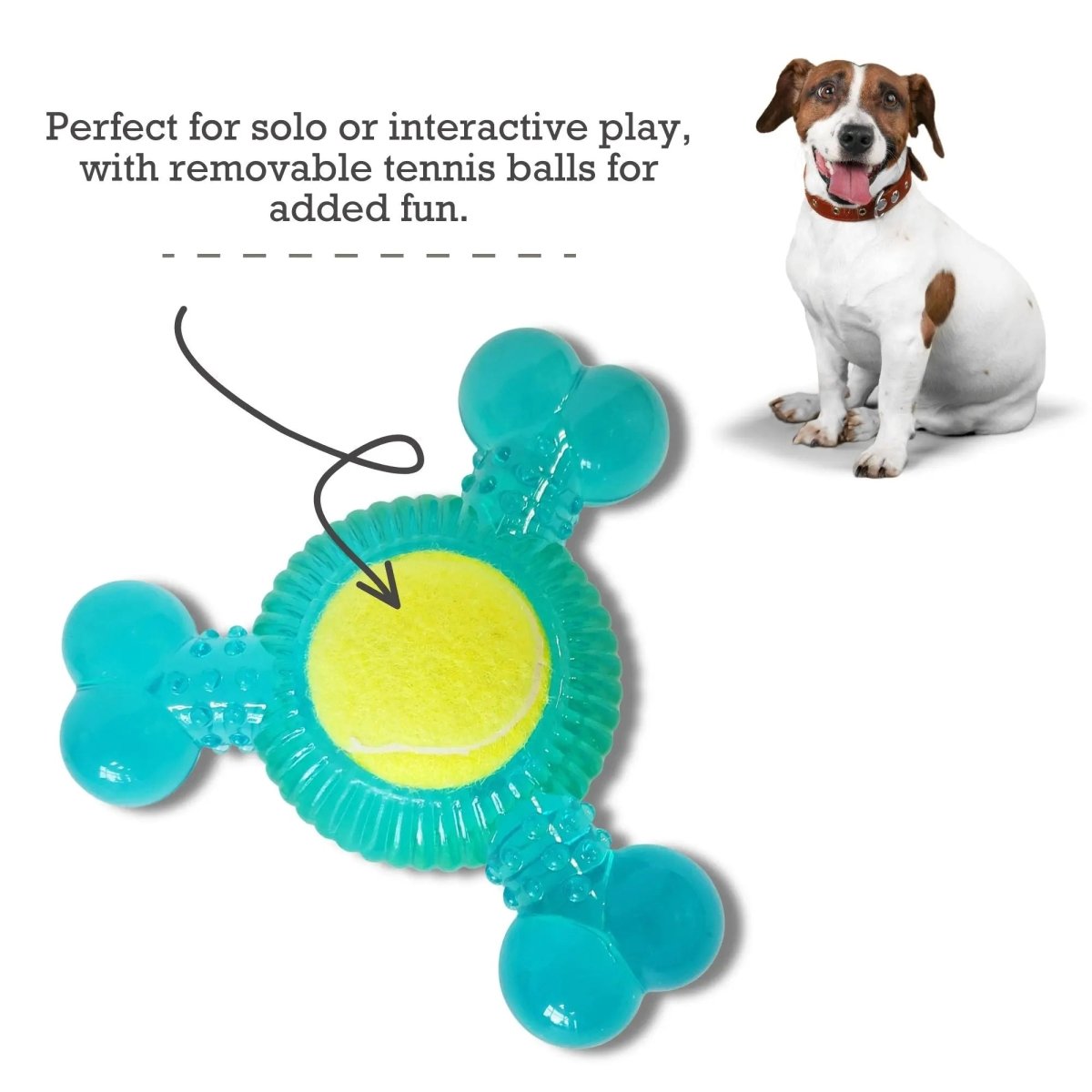 3 - Bone TPR Chew Toy with Squeaker & Tennis Ball for Dogs - The Snag Bin