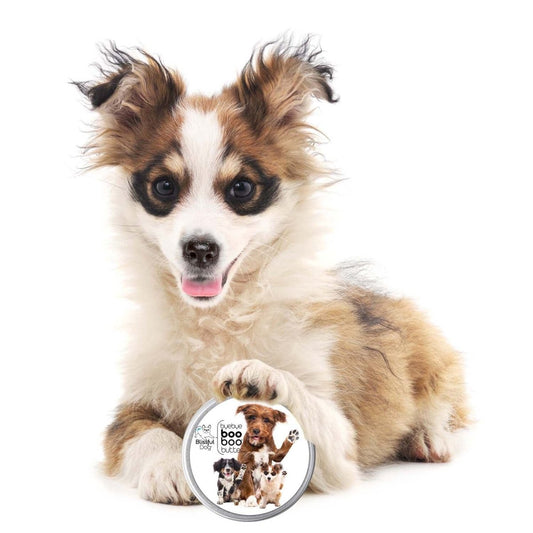3 Cute Puppies Boo Boo Butter - The Snag Bin