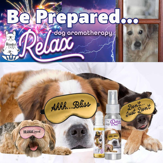3 Cute Puppies Relax Dog Aromatherapy - The Snag Bin
