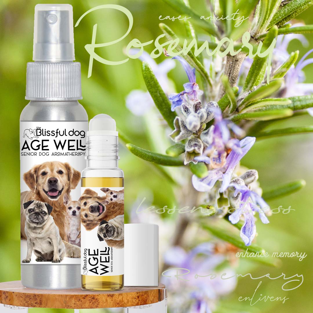 3 Old Friends Dog Aromatherapy - The Snag Bin