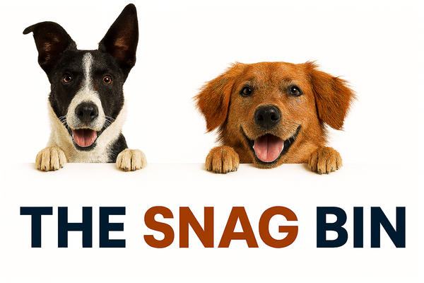 Dog Products 
