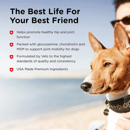 Advanced Strength Hip & Joint Chewable Dog Supplements - The Snag Bin