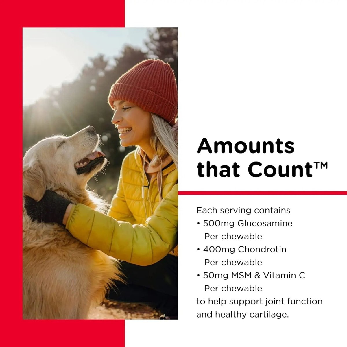 Advanced Strength Hip & Joint Chewable Dog Supplements - The Snag Bin