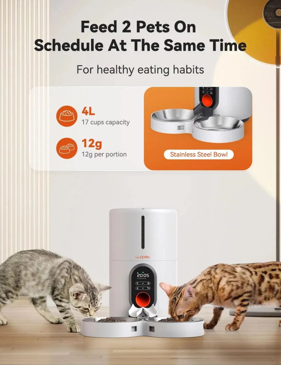Automatic Feeder for Cats and Dogs - The Snag Bin