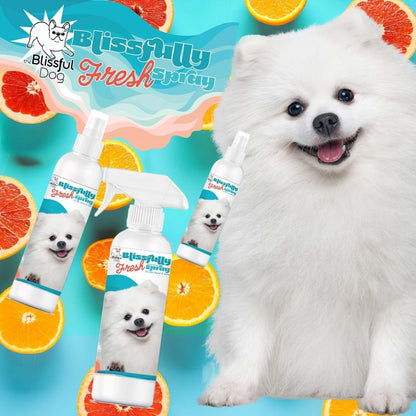 Blissfully Fresh™ Deodorizing Spray - The Snag Bin