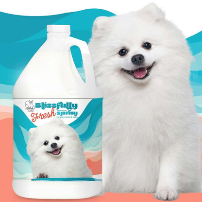 Blissfully Fresh™ Deodorizing Spray - The Snag Bin