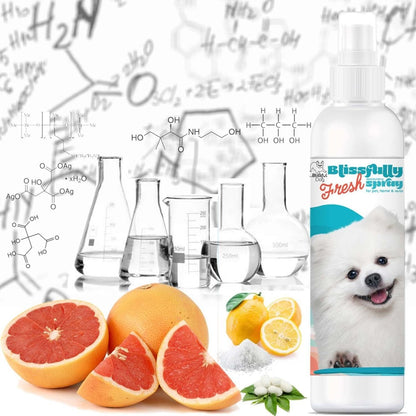 Blissfully Fresh™ Deodorizing Spray - The Snag Bin
