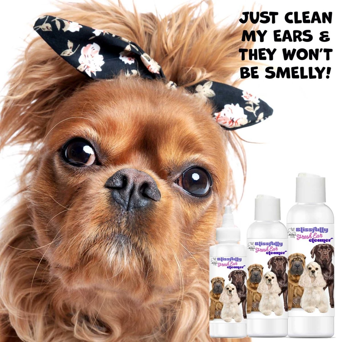 Blissfully Fresh™ Dog Ear Cleaner - The Snag Bin