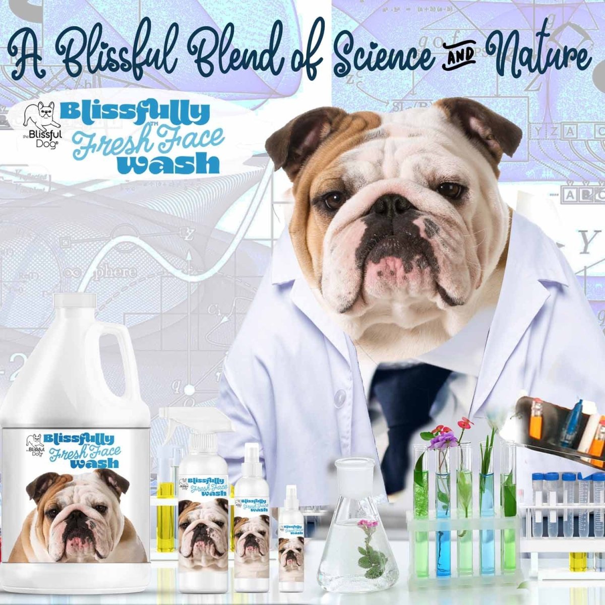 Blissfully Fresh™ Face Wash - The Snag Bin