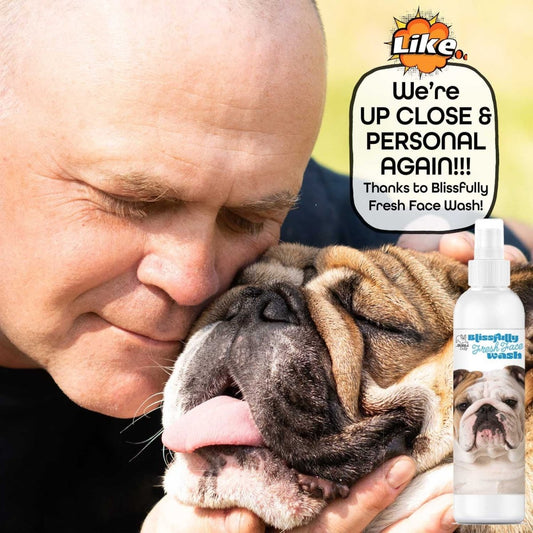 Blissfully Fresh™ Face Wash - The Snag Bin