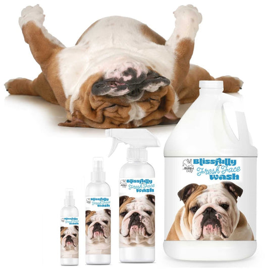 Blissfully Fresh™ Face Wash - The Snag Bin