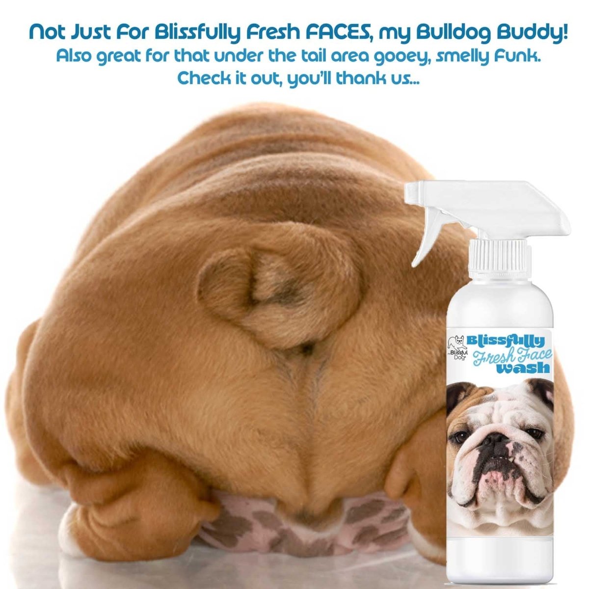 Blissfully Fresh™ Face Wash - The Snag Bin