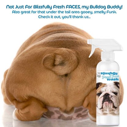 Blissfully Fresh™ Face Wash - The Snag Bin