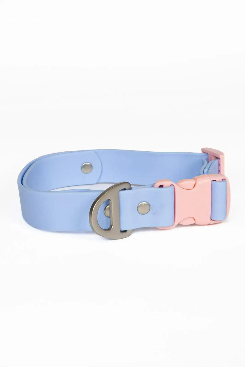 Blue Sky Orchid Waterproof Dog Collar - The Snag Bin