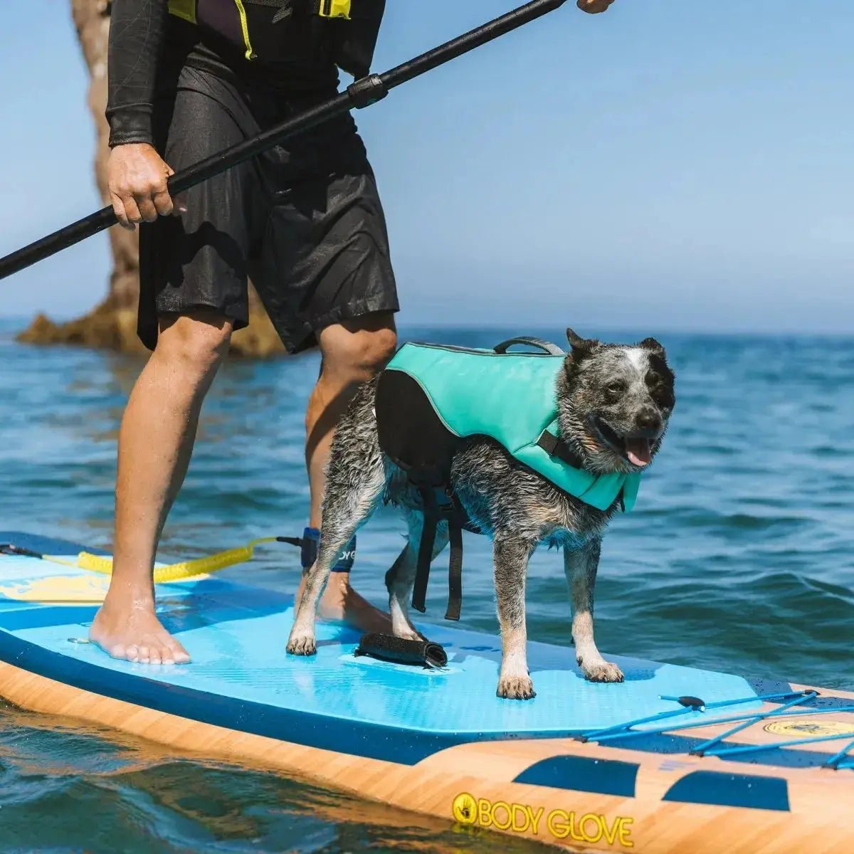 Body Glove Neoprene Pet Life Jacket - The Snag Bin