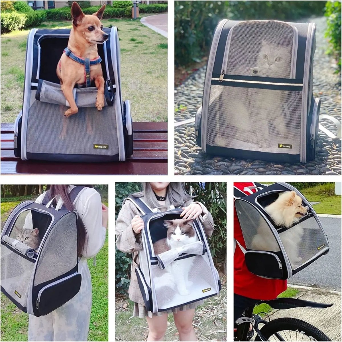 Bubble Backpack Pet Carriers for Cats and Dogs - The Snag Bin