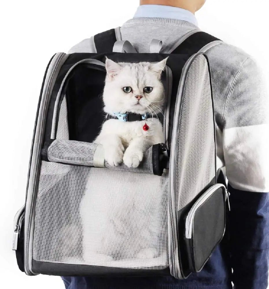 Bubble Backpack Pet Carriers for Cats and Dogs - The Snag Bin