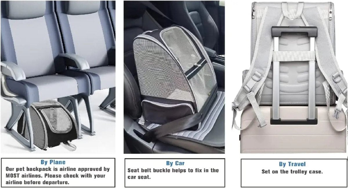 Bubble Backpack Pet Carriers for Cats and Dogs - The Snag Bin