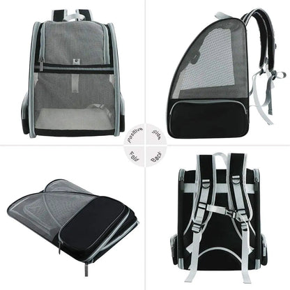 Bubble Backpack Pet Carriers for Cats and Dogs - The Snag Bin