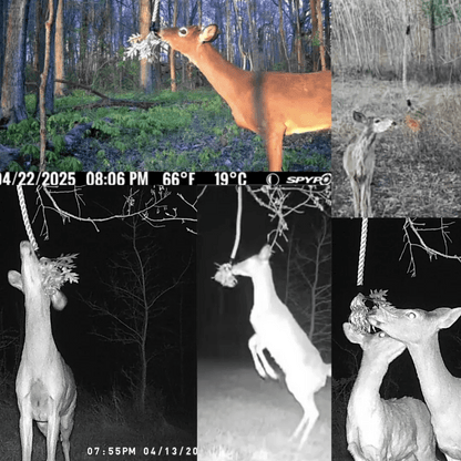 BUCK ROPE - The Snag Bin
