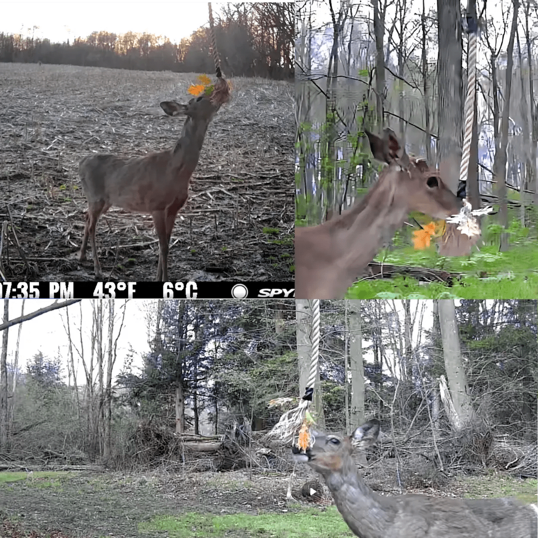 BUCK ROPE - The Snag Bin