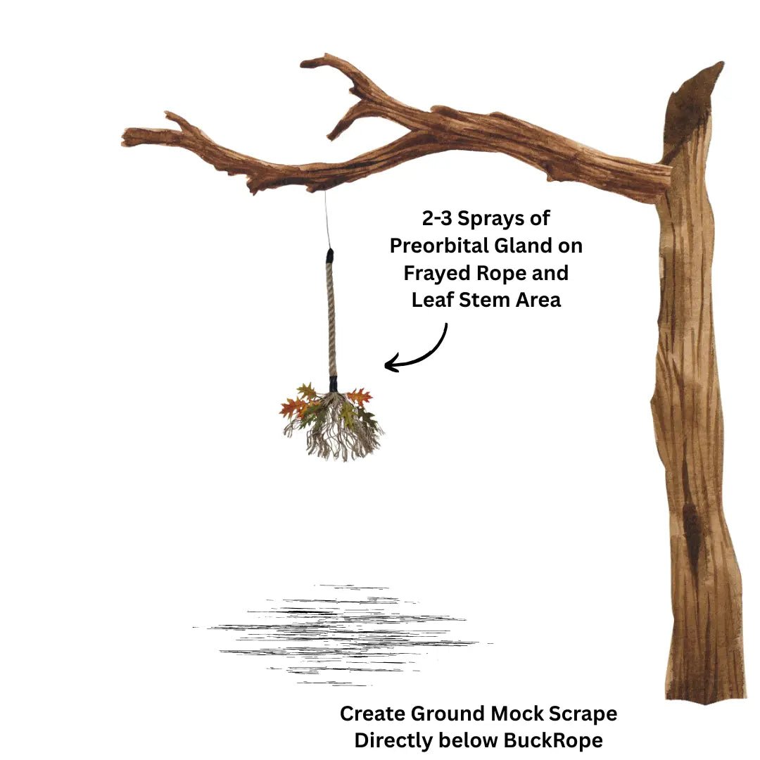 BUCK ROPE - The Snag Bin