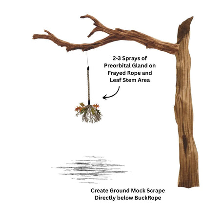 BUCK ROPE - The Snag Bin