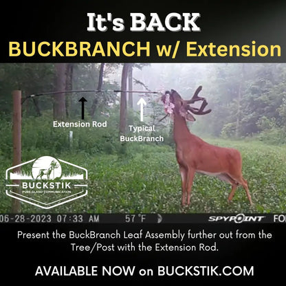 BuckBranch w/ 3 pack of Glands - The Snag Bin