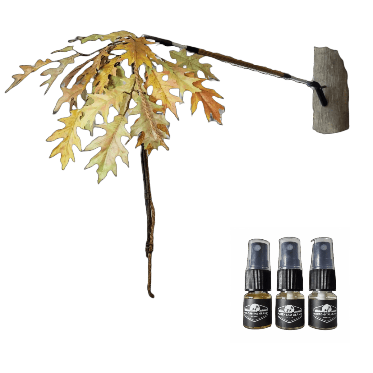 BuckBranch w/ 3 pack of Glands - The Snag Bin