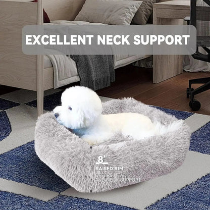 Cat Bed for Indoor Cats and small dogs - The Snag Bin