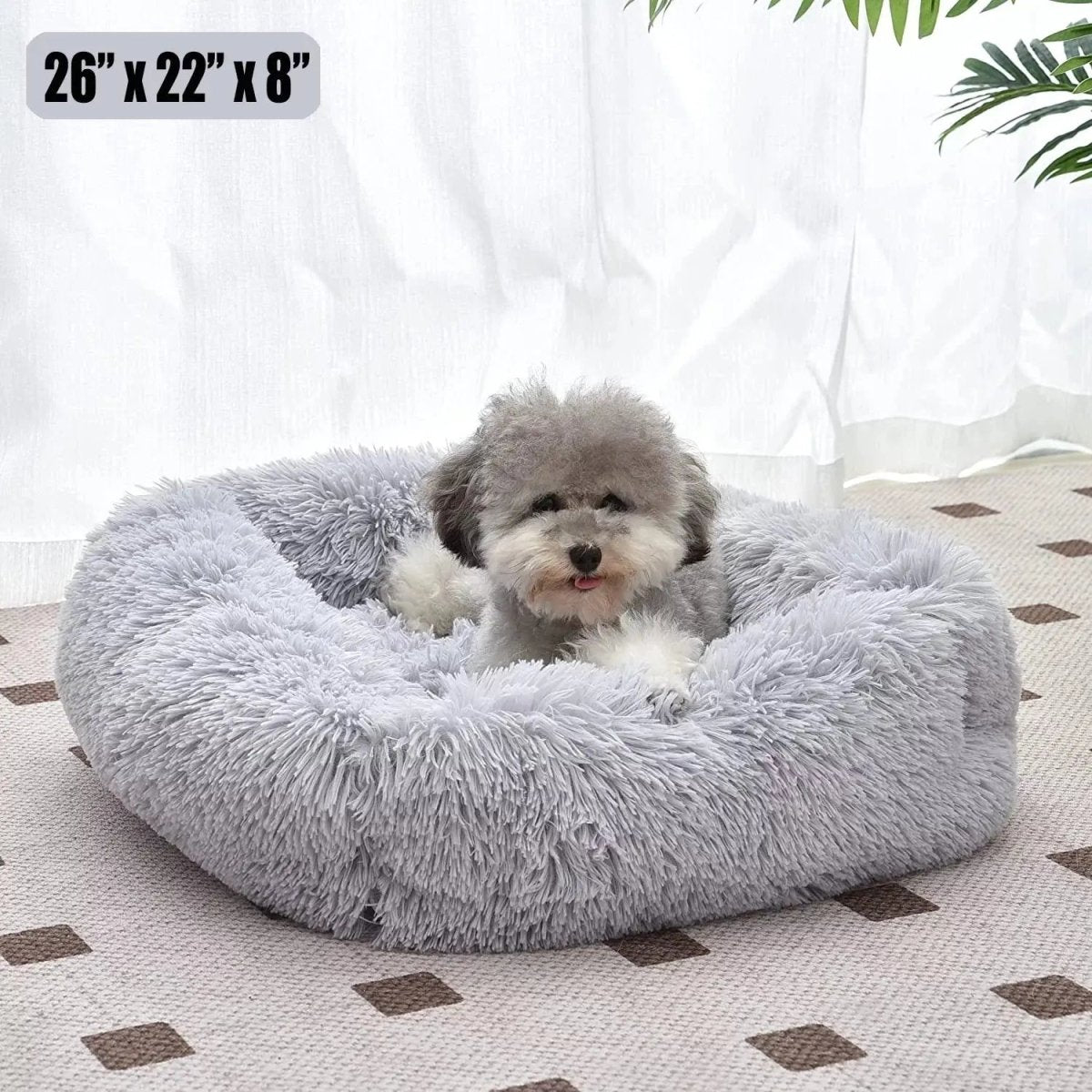Cat Bed for Indoor Cats and small dogs - The Snag Bin