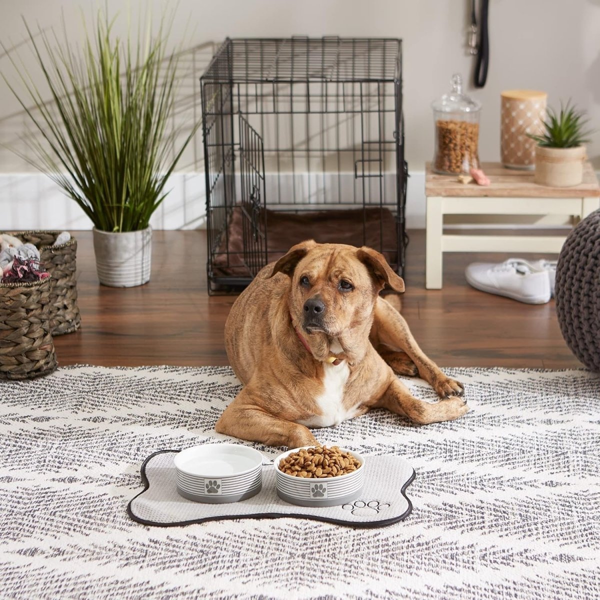 Ceramic Pet Bowls, 6X2", Gray, 2 Piece - The Snag Bin