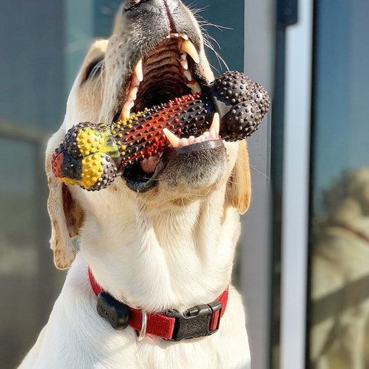 Chew Toy Bacon Cheeseburger - The Snag Bin
