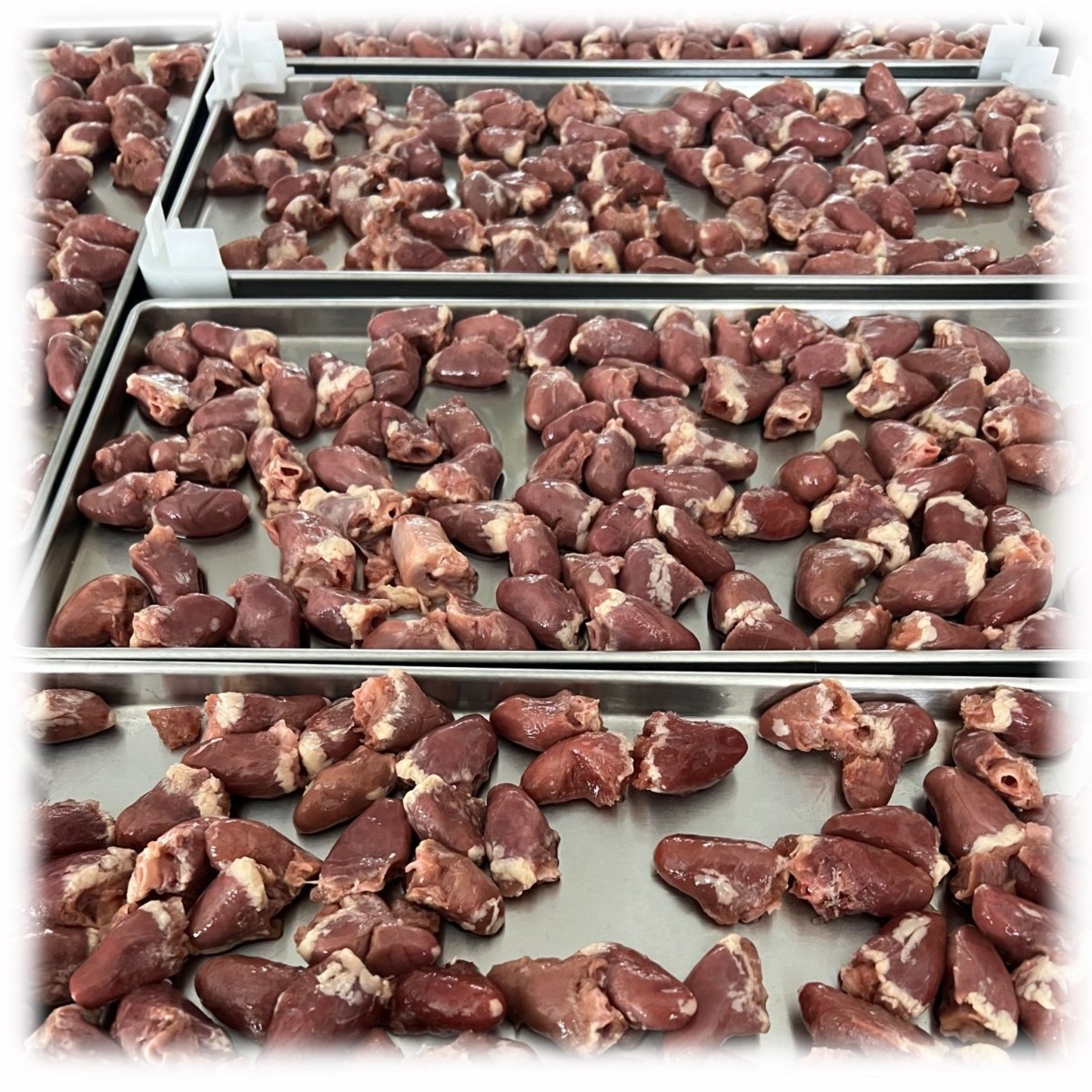 Chicken Hearts - The Snag Bin