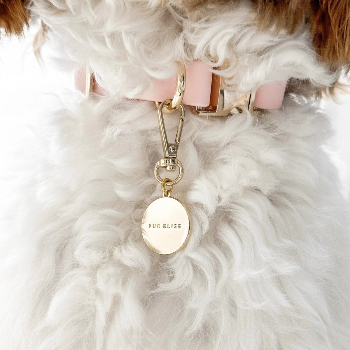 Classic Logo Charm - The Snag Bin