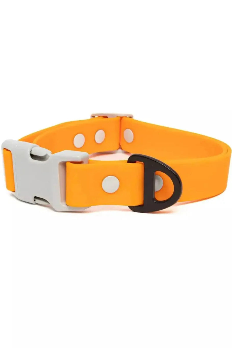 Crimson Glow Waterproof Dog Collar - The Snag Bin