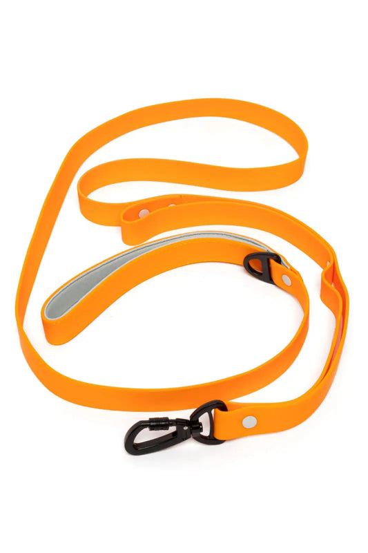 Crimson Glow Waterproof Dog Leash - The Snag Bin