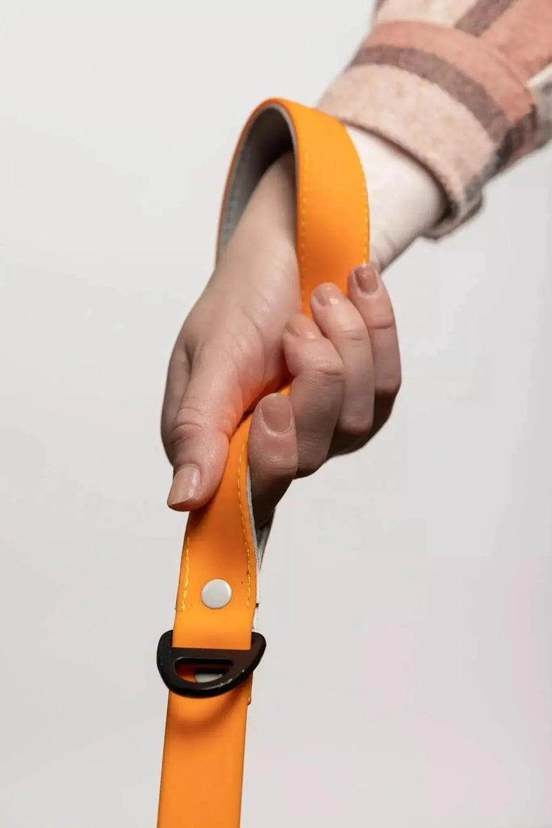 Crimson Glow Waterproof Dog Leash - The Snag Bin