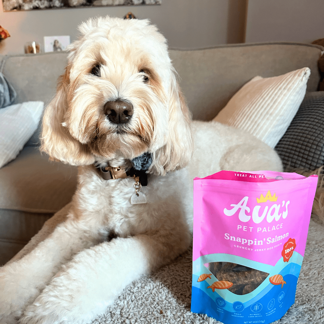 Crunchy Jerky Dog Treats - Snappin' Salmon - The Snag Bin
