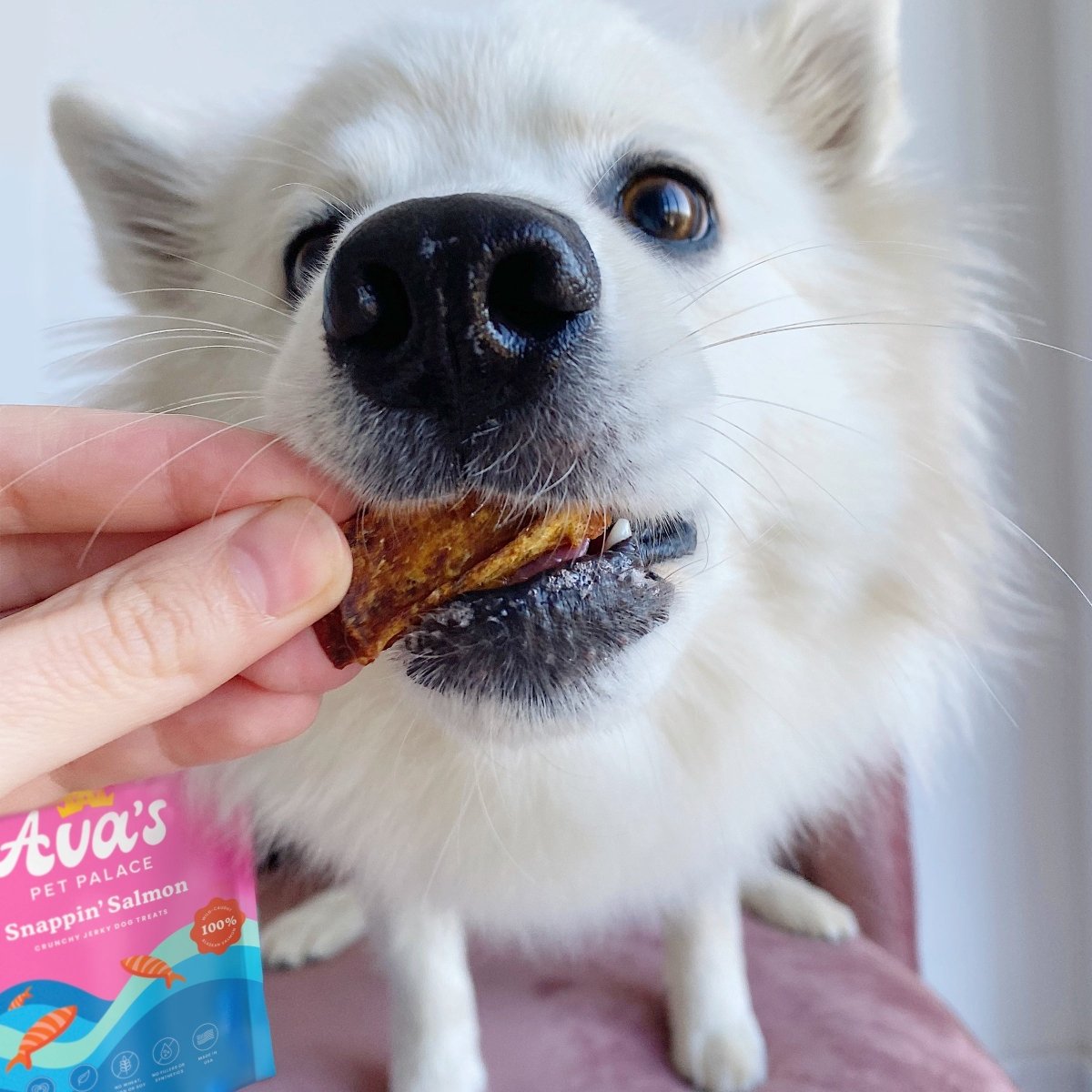Crunchy Jerky Dog Treats - Snappin' Salmon - The Snag Bin