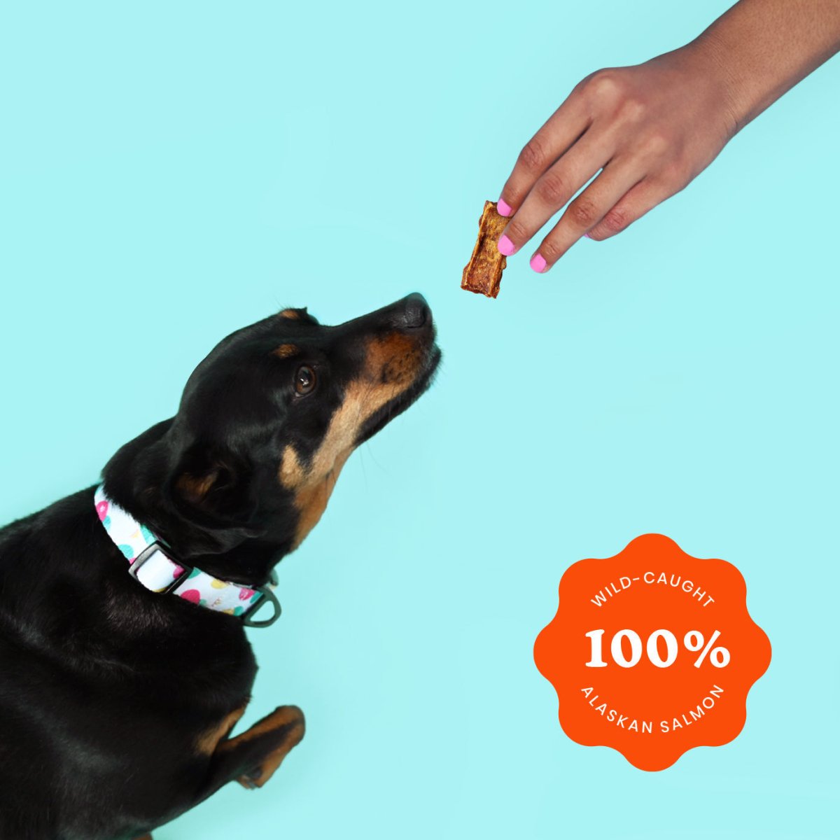 Crunchy Jerky Dog Treats - Snappin' Salmon - The Snag Bin