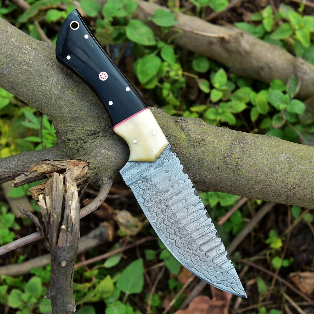 Custom Handmade Skinning Knife - Damascus Steel Blade, Buffalo Horn & Camel Bone Handle - The Snag Bin
